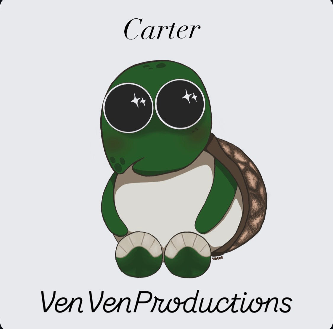 Carter The Turtle Art Print